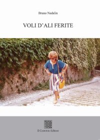 Immagine copertina libro Voli d'ali ferite