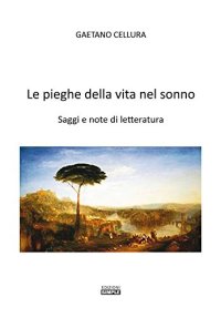 Immagine copertina libro Le pieghe della vita nel sonno. Saggi e note di letteratura