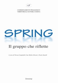 Immagine copertina libro Spring. Il gruppo che riflette