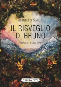 Immagine copertina libro Il risveglio di Bruno