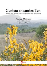 Immagine copertina libro Genista anxantica Ten. Proposta per la rielezione a specie di una endemica senza carta d'identità