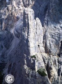 Immagine copertina libro Annuario Accademico (1995). Vol. 97