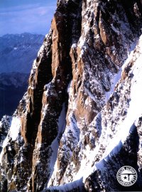 Immagine copertina libro Annuario Accademico (1996). Vol. 98