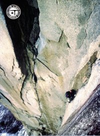 Immagine copertina libro Annuario Accademico (1999). Vol. 101