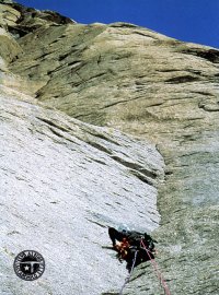 Immagine copertina libro Annuario Accademico (2000). Vol. 102