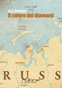 Immagine copertina libro Il colore dei diamanti
