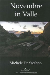 Immagine copertina libro Novembre in valle