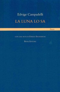 Immagine copertina libro La luna lo sa