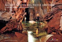 Immagine copertina libro Baunei. Grotta del Fico e dintorni. Le vie dell'acqua. I sentieri di un tempo. Sardegna. Ediz. italiana, inglese e tedesca