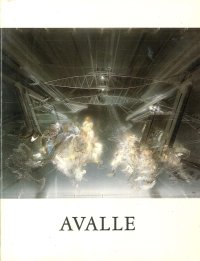 Immagine copertina libro Filippo Avalle