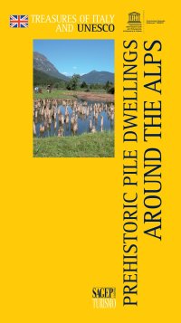 Immagine copertina libro Prehistoric pile dwellings around the alps