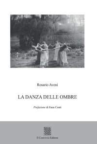 Immagine copertina libro La danza delle ombre