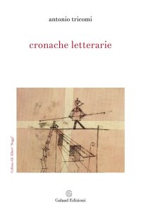 Immagine copertina libro Cronache letterarie