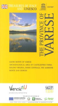 Immagine copertina libro The province of Varese