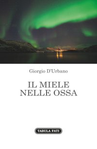 Immagine copertina libro Il miele nelle ossa