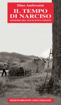 Immagine copertina libro Il tempo di Narciso. Memorie del Novecento veneto