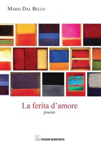 Immagine copertina libro La ferita d'amore