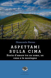 Immagine copertina libro Aspettami sulla cima