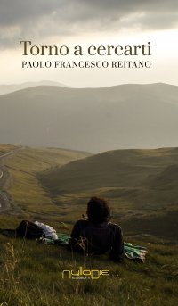 Immagine copertina libro Torno a cercarti