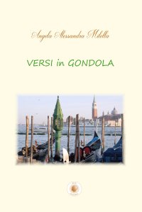 Immagine copertina libro Versi in gondola