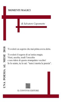 Immagine copertina libro Momenti magici