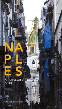 Immagine copertina libro Naples. A traveller's guide