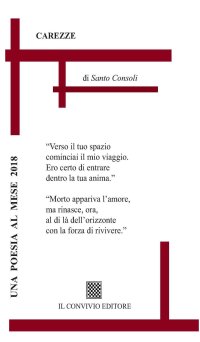 Immagine copertina libro Carezze