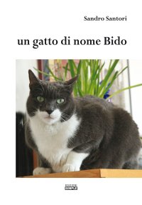 Immagine copertina libro Un gatto di nome Bido