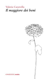 Immagine copertina libro Il maggiore dei beni