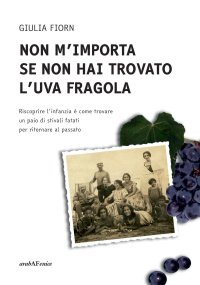 Immagine copertina libro Non m'importa se non hai trovato l'uva fragola
