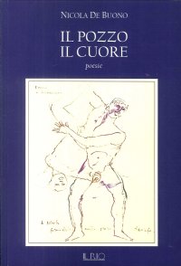 Immagine copertina libro Il pozzo, il cuore