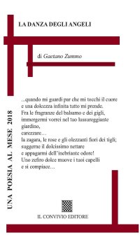 Immagine copertina libro La danza degli angeli