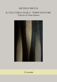 Immagine copertina libro Il ciclo dell'acqua. Parte di fuori
