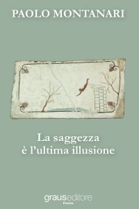 Immagine copertina libro La saggezza è l'ultima illusione