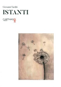 Immagine copertina libro Istanti
