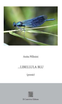 Immagine copertina libro Libellula blu
