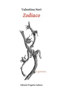 Immagine copertina libro Zodiaco