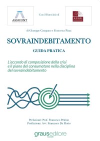 Immagine copertina libro Sovraindebitamento. Guida pratica. L'accordo di composizione della crisi e il piano del consumatore nella disciplina del sovraindebitamento