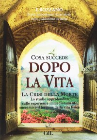 Immagine copertina libro Cosa succede dopo la vita. La crisi della morte