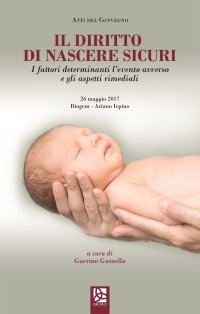 Immagine copertina libro Il diritto di nascere sicuri. I fattori determinanti l'evento avverso e gli aspetti rimediali. Atti del Convegno (Ariano Irpino, 26 magio 2017)
