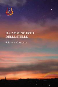 Immagine copertina libro Il cammino irto delle stelle