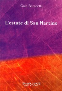 Immagine copertina libro L'estate di San Martino