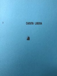 Immagine copertina libro Caduta libera. Ediz. italiana e inglese