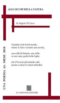 Immagine copertina libro Agli occhi della natura