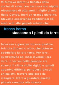 Immagine copertina libro Staccando i piedi da terra