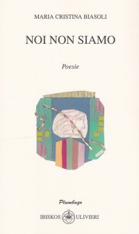 Immagine copertina libro Noi non siamo