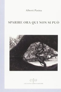 Immagine copertina libro Sparire ora qui non si può