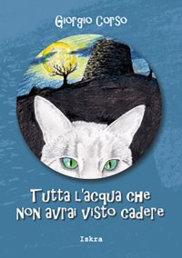 Immagine copertina libro Tutta l'acqua che non avrai visto cadere