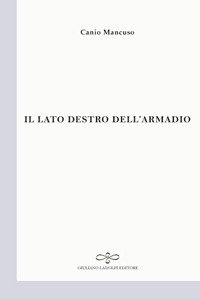 Immagine copertina libro Il lato destro dell'armadio