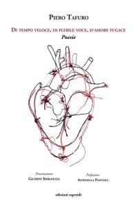 Immagine copertina libro Di tempo veloce, di flebile voce, d'amore fugace